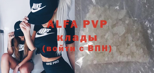 прущие грибы Аркадак
