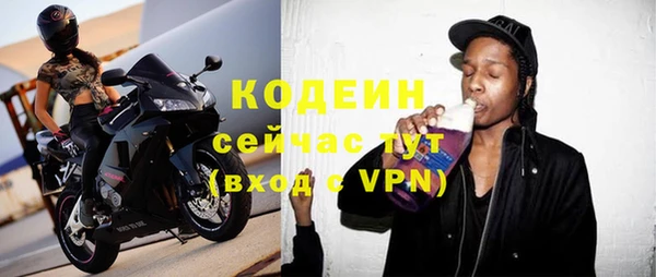 ГАЛЛЮЦИНОГЕННЫЕ ГРИБЫ Арсеньев