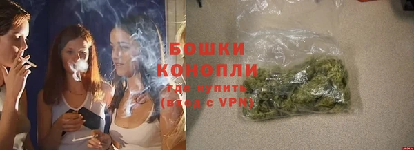 ГАЛЛЮЦИНОГЕННЫЕ ГРИБЫ Арсеньев