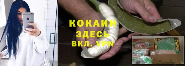 ГАЛЛЮЦИНОГЕННЫЕ ГРИБЫ Арсеньев