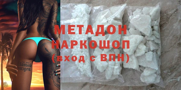 прущие грибы Аркадак