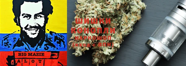 прущие грибы Аркадак