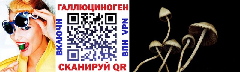 Галлюциногенные грибы мухоморы  Рудня 